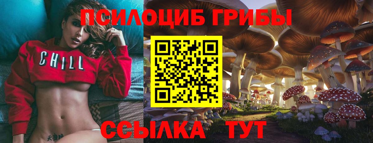Псилоцибиновые грибы Psilocybine cubensis  Вход с VPN  Псилоцибиновые грибы Psilocybe  Арзамас 